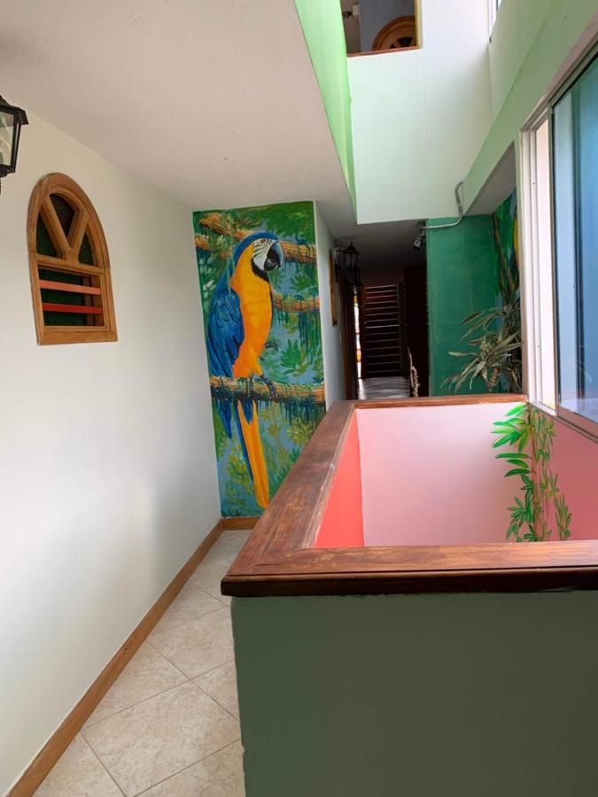 Hotel Las Guacamayas Guatapé エクステリア 写真